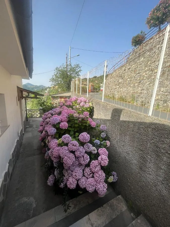 La Casa Di Luisa Villa Moneglia 0*,  Italy